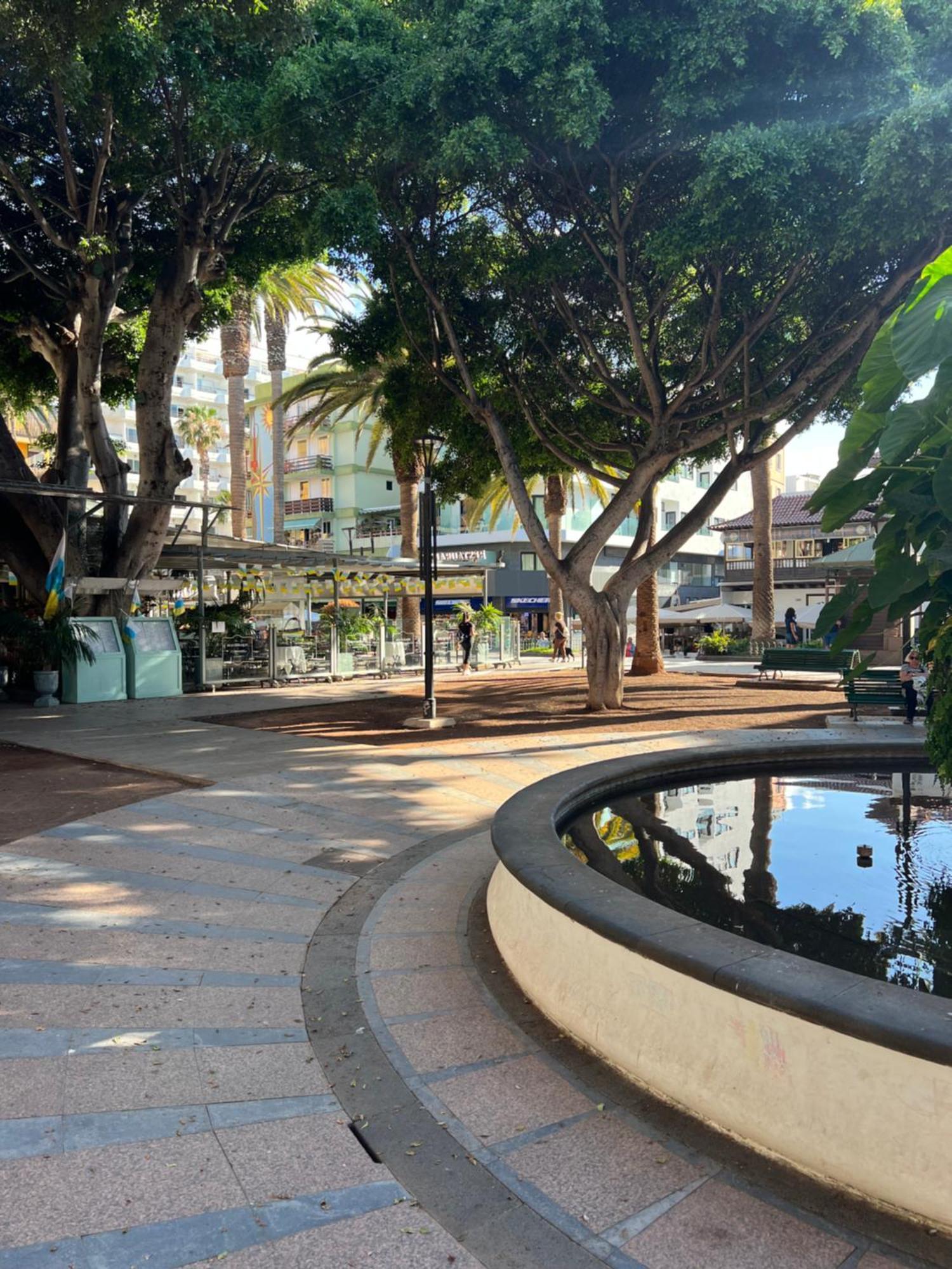 Estudio En Plaza Del Charco Puerto de la Cruz  Exteriér fotografie